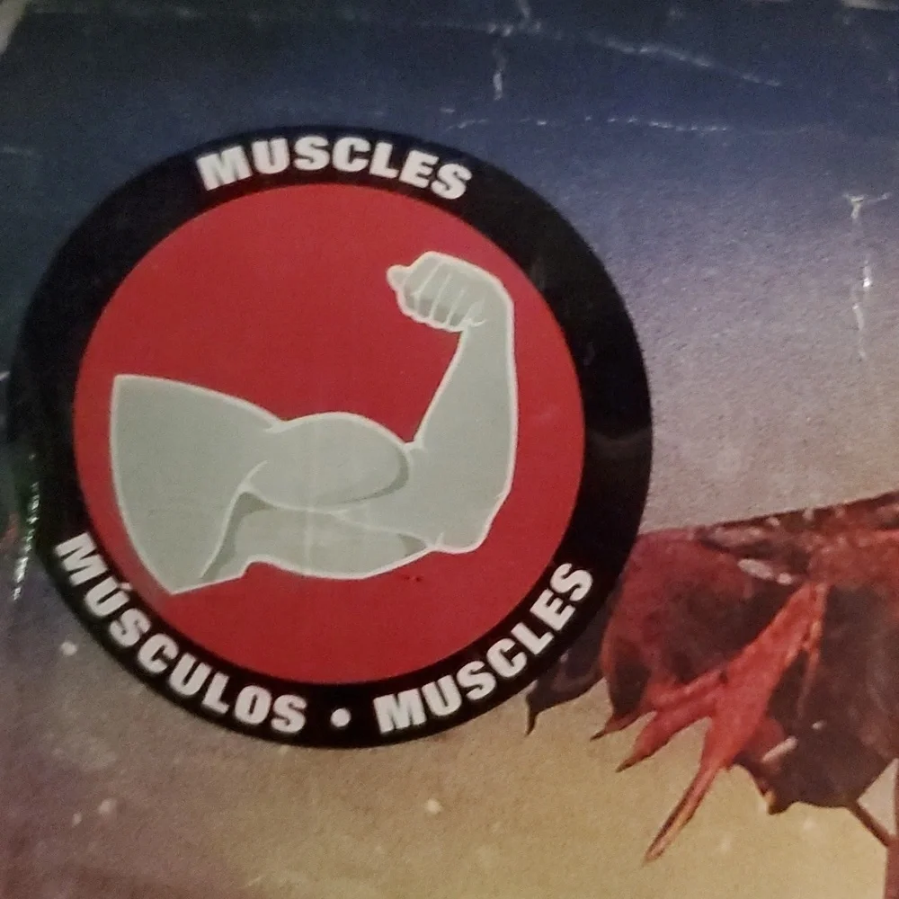 Warcraft Durotam Muscle Costume Size Small 4-6 by Disguise